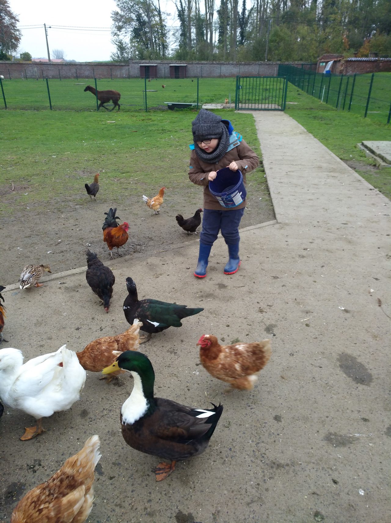 La ferme pédagogique ASBL Impro